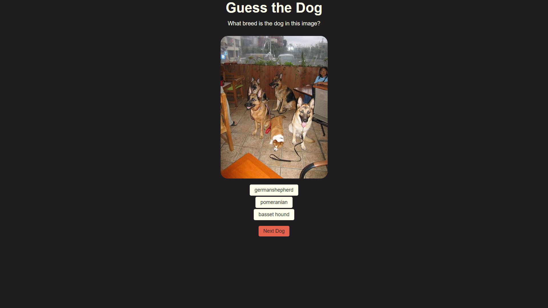 Screenshot of my first portfolio website.